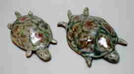 two turtles, each 2"-3" long, 